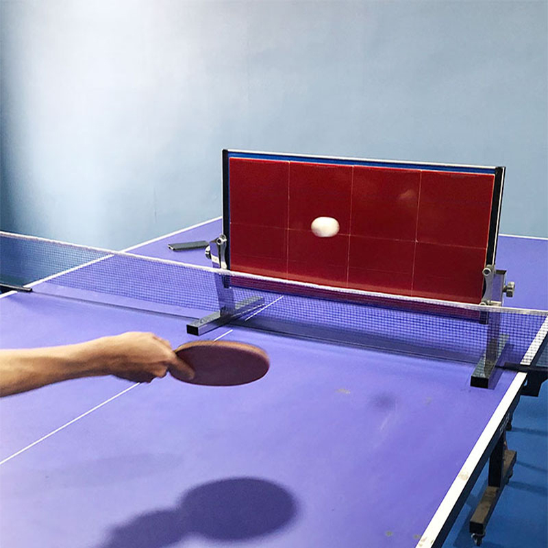Home Table Tennis Rebound Boar - Badminton Rebound Trainer review and price